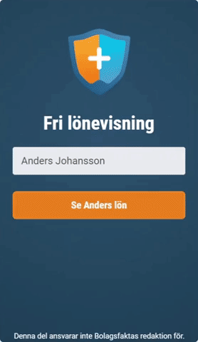 Lönevisning exempel
